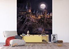 AG Design Dětská fototapeta HARRY POTTER 225x 270 cm