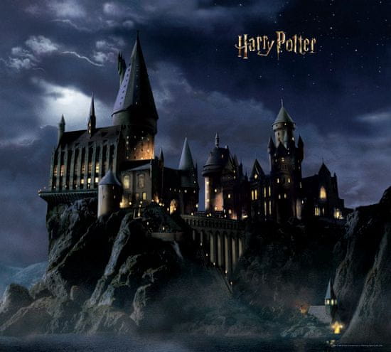 AG Design Dětská fototapeta Harry Potter 300x 270 cm