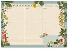 TWM Botanický trhací kalendář A3 béžová / zelená 54 stran