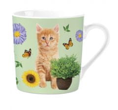 TWM Hrnek Tabby Kitten 240 ml bílý porcelán