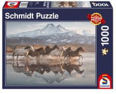 TWM Puzzle koně v Kappadokii 1000 kusů kartonu