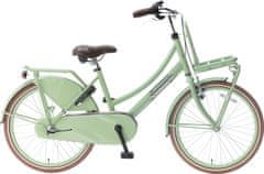 TWM Daily Dutch Basic + 22 Inch 36cm Girls 3SP Threaded Brake Green