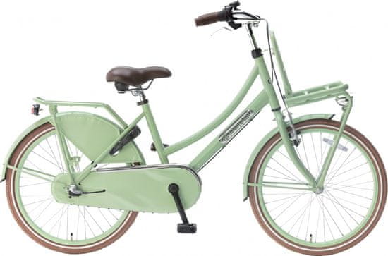 TWM Daily Dutch Basic + 22 Inch 36cm Girls 3SP Threaded Brake Green