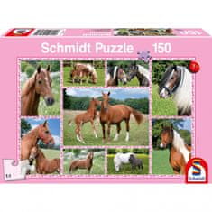 TWM Prachtige Paarden junior puzzle 150 dílků