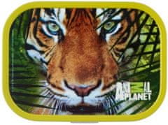 TWM Animal Planet 176 x 130 x 58 mm zásobník na chléb Tiger