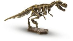 TWM Vytahování kostry T-rex 20 x 20 cm Prozkoumat