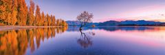 TWM puzzle Lake Wanaka Tree karton fialový 1000 ks