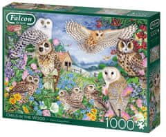 TWM puzzle Owls In The Wood 1000 dílků