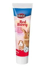 Trixie Sladová pasta Red Berry pro hlodavce 100g TR