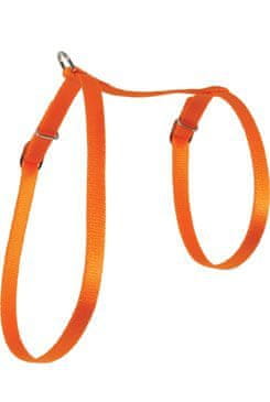 Zolux Postroj kočka nylon 10mm oranžový