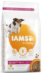 IAMS Dog Senior Small&Medium Chicken 3 kg