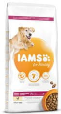 IAMS Dog Senior Large Chicken 12 kg