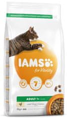 IAMS Cat Adult Chicken 2 kg