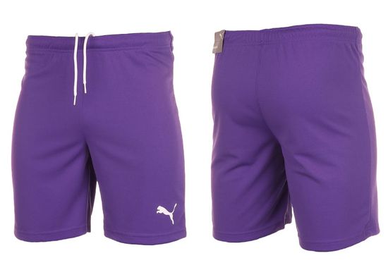 Puma Pánské Krátké Kalhoty teamRISE Short 704942 10 - S