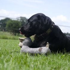 Country Dog hrošice Bella 21cm