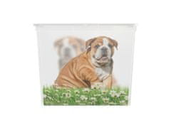 Kis C box Puppy and Kitten - XL