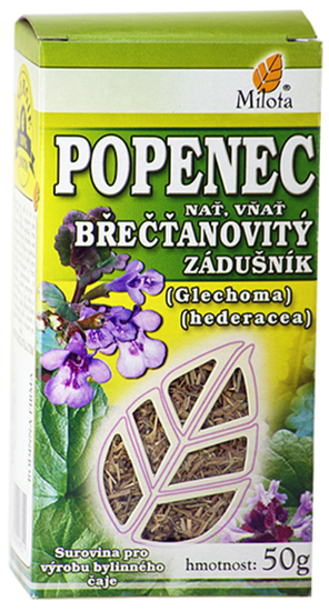 Milota Popenec břečťanovitý nať 50g Glechoma hederacea herba cons.