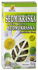 Milota Sedmikráska chudobka květ 30g Bellis perennis flos tot.