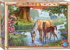 EuroGraphics Puzzle Fellští poníci 1000 dílků