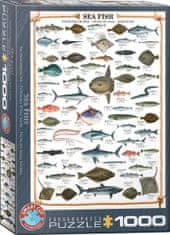 EuroGraphics Puzzle Mořské ryby 1000 dílků