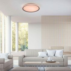 PAUL NEUHAUS LEUCHTEN DIREKT is JUST LIGHT LED stropní svítidlo, stříbrná, stmívatelné, App, dálkový ovladač MEDION RGB plus 2700-5000K