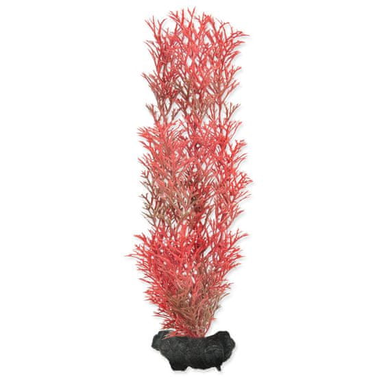 Tetra Rostlina Foxtail Red M 1 ks