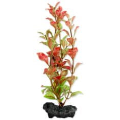 Tetra Rostlina Red Ludwigia S 1 ks