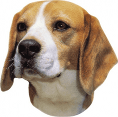 Nobby Nálepka Beagle 120x150mm