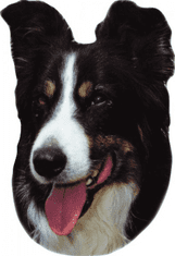 Nobby Nálepka Border Collie 120x150mm