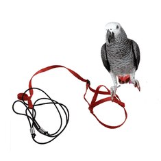 Parrotclub Kšíry pro papoušky červené M