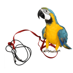 Parrotclub Kšíry pro papoušky červené L