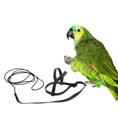Parrotclub Kšíry pro papoušky S čierne