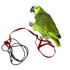 Parrotclub Kšíry pro papoušky S červené