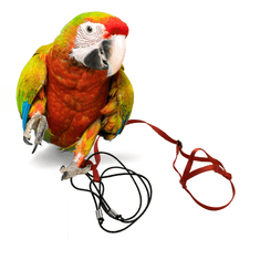 Parrotclub Kšíry pro papoušky XL červené
