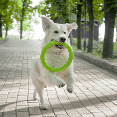 PitchDog tréninkový Kruh pro psy zelený Small