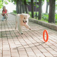 PitchDog tréninkový Kruh pro psy oranžový Small