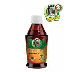 GREEN IDEA Echinacea dětský sirup s fruktozou 300g