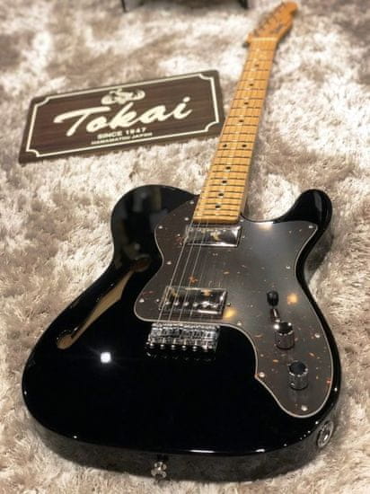 Tokai guitars TTE200 Thinline BB/M je unikátní kytara z Custom Shopu ze série Special Models japonské značky