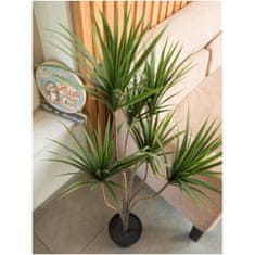 Europalms Palma Yucca, 130cm