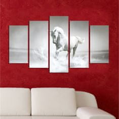 Hanah Home Vícedílný obraz White Horse 110x60 cm