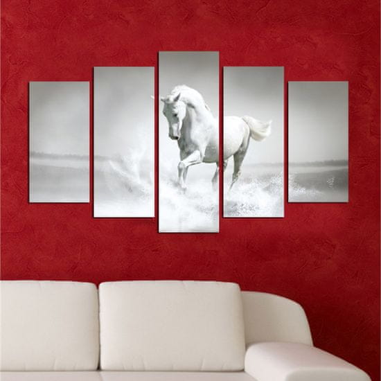 Hanah Home Vícedílný obraz White Horse 110x60 cm