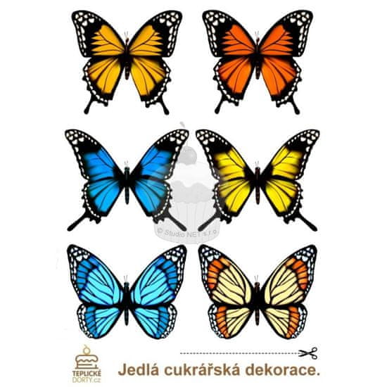 Caketools "Motýli Amazonie BIG 6ks" - A4