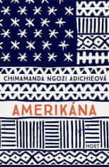 Ngozi Adichie Chimamanda: Amerikána