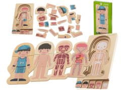 WOWO Vrstvené Dřevěné Puzzle Montessori Struktura Těla pro Chlapce