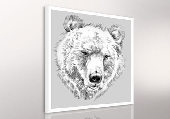 LUDESIGN Obraz na plátně BEAR A různé rozměry Ludesign ludesign obrazy: 50x50 cm