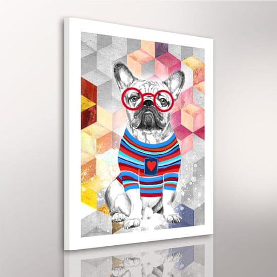 LUDESIGN Obraz na plátně BULDOG COLORS různé rozměry Ludesign ludesign obrazy: 80x60 cm