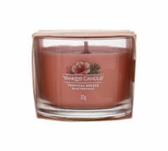 Yankee Candle 37g tropical breeze, vonná svíčka