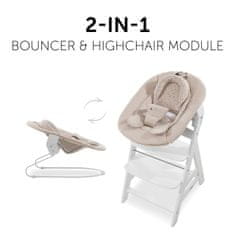 Hauck Alpha Bouncer 2in1 Winnie the Pooh Beige