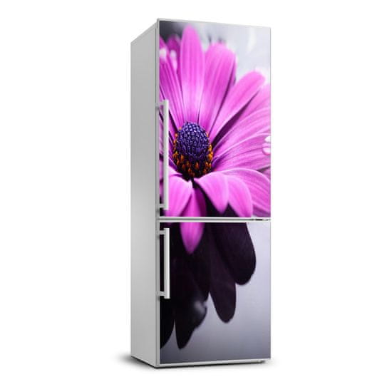 Wallmuralia Nálepka fototapeta lednička Růžová gerbera