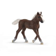 Schleich 13899 Zvířátko - hříbě Schwarzwaldské